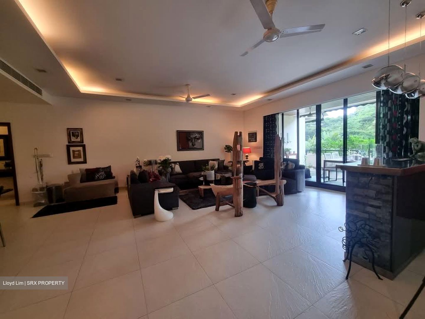 The Arcadia (D11), Condominium #570655691